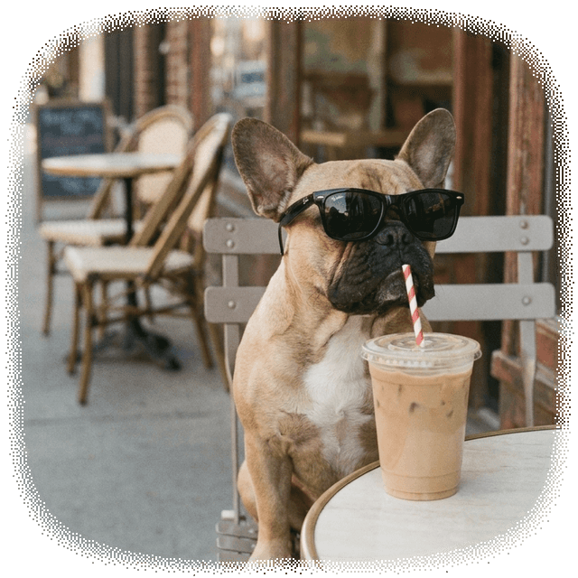 The same French bulldog, painted from that photo, on a black tee